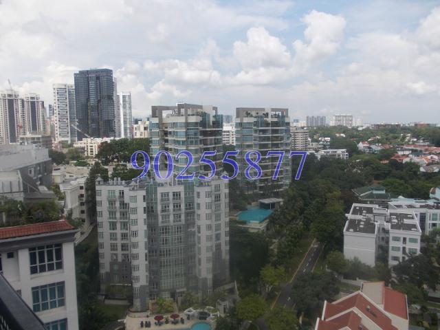 Robin Suites thumbnail photo